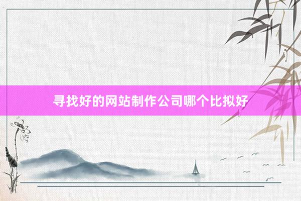 寻找好的网站制作公司哪个比拟好