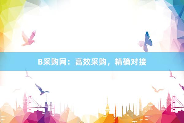 B采购网：高效采购，精确对接