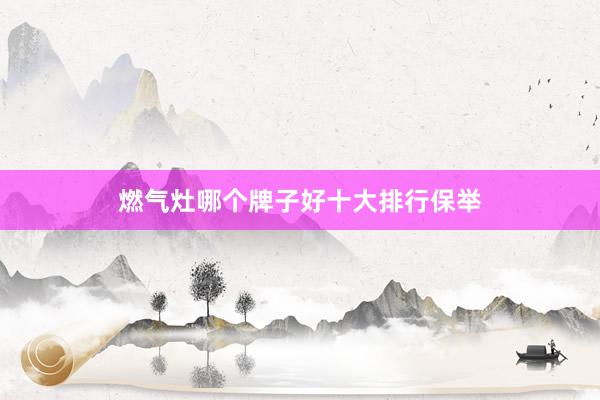 燃气灶哪个牌子好十大排行保举
