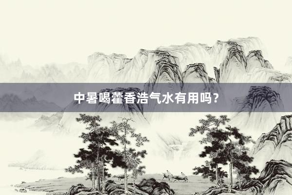 中暑喝藿香浩气水有用吗？