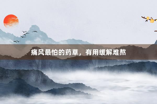 痛风最怕的药草，有用缓解难熬