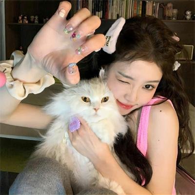 泽塔奥特曼 国语版